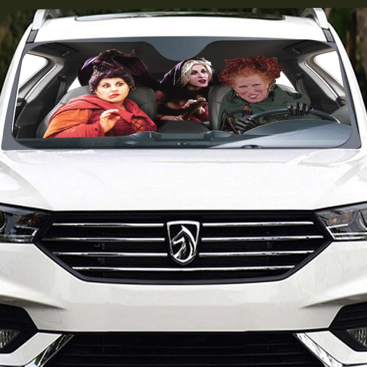 HOCUS POCUS CAR SUN SHADE 70*140cm（27.5”*55.1”）