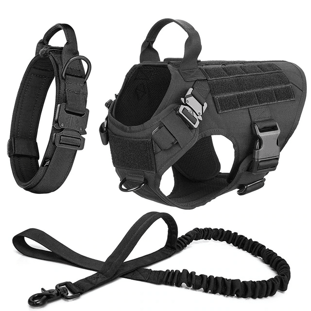 Large Dog Harness And Leash Set Pet