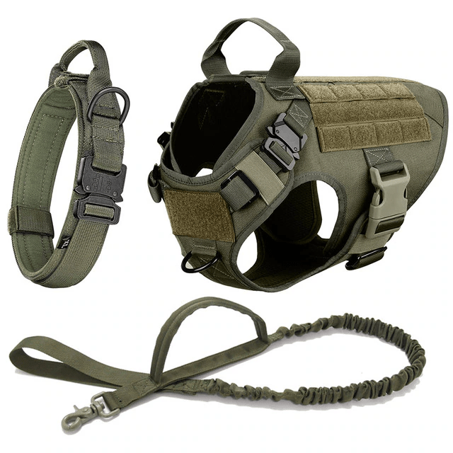 Large Dog Harness And Leash Set Pet