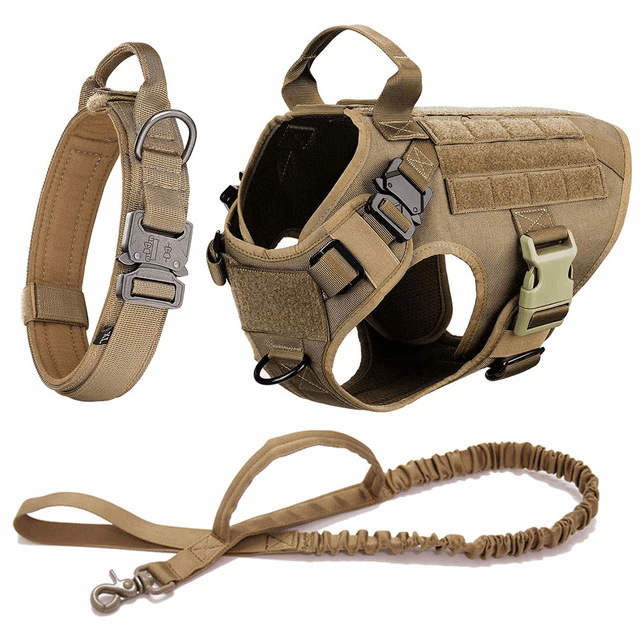 Large Dog Harness And Leash Set Pet